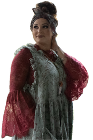 Jaded Gypsy- Garden Tea Lace Top (Berry)