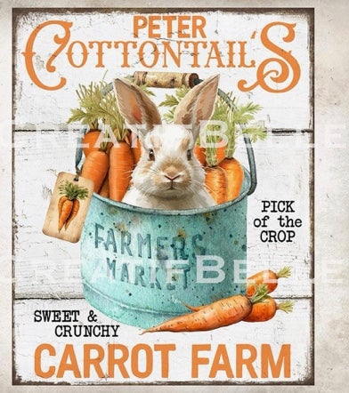 Cottontail Carrot Farm T-Shirt *Final Sale*