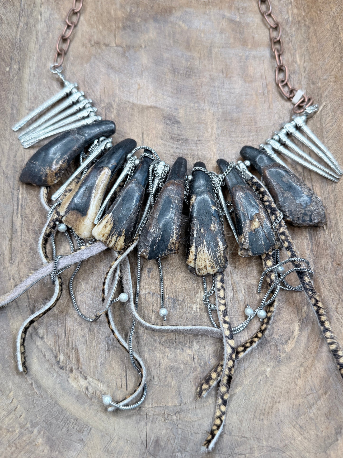 A Rare Bird- Buffalo Tooth Charm Necklace