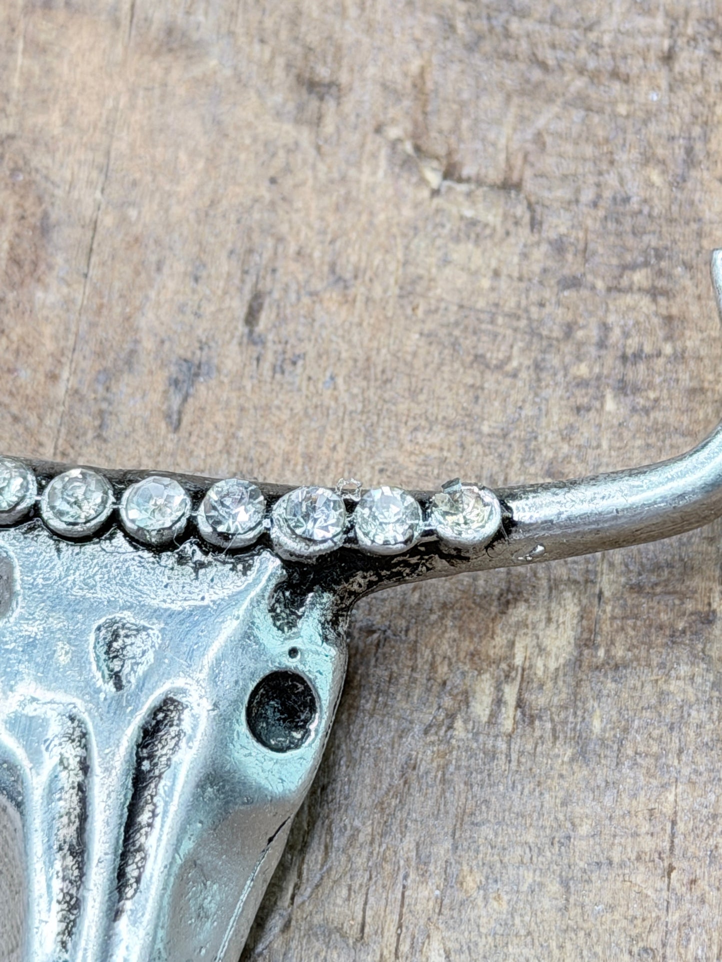 A Rare Bird- Metal Steer Head  Clip WOUNDED
