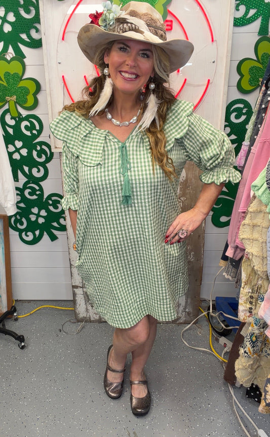 FINAL SALE EASEL - Calyx Collar Gingham Seesucker Dress (Apple Green)