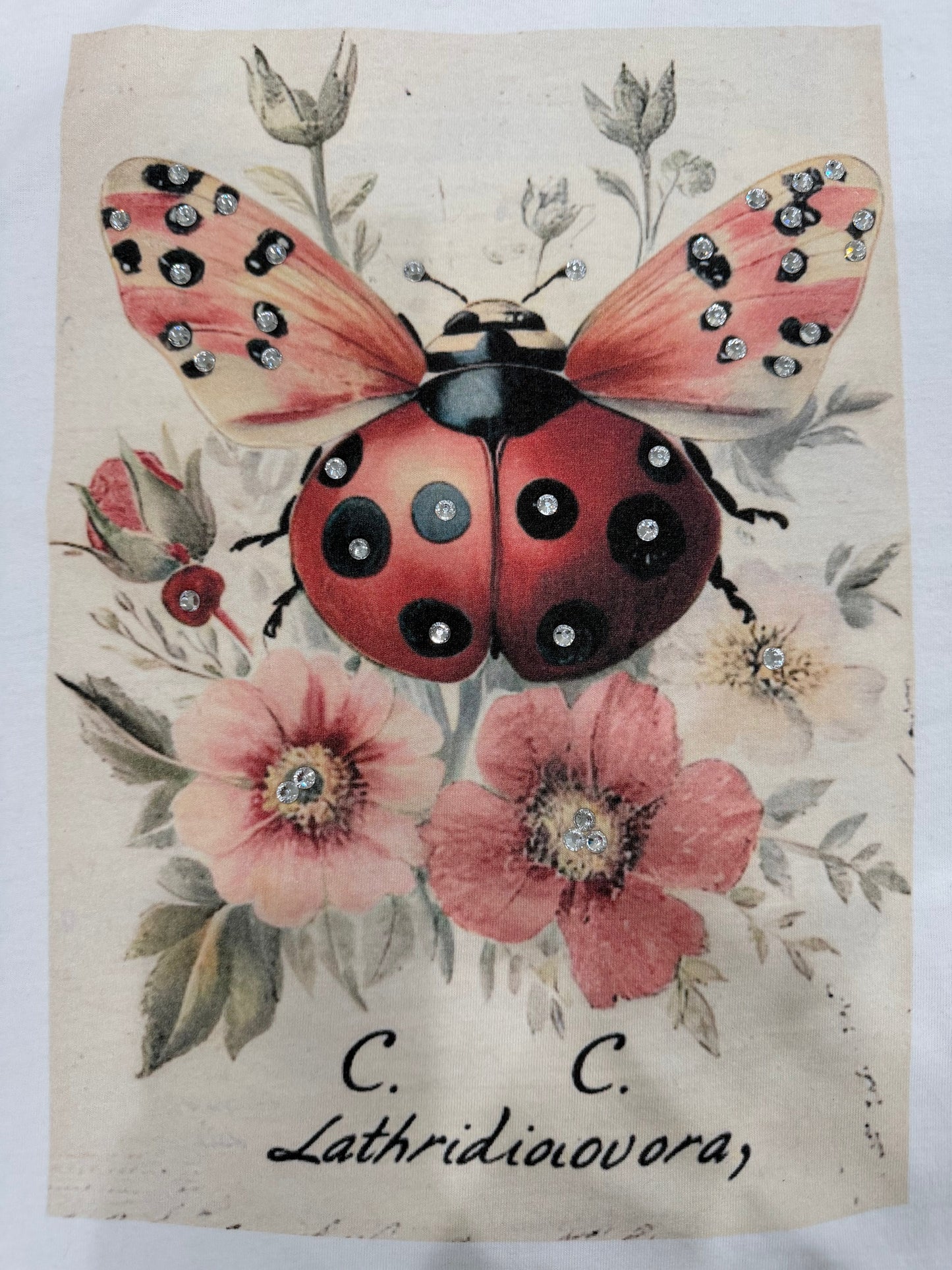 Ladybug Kisses T-Shirt (Christy Cut) - Indigo Blue *Final Sale*