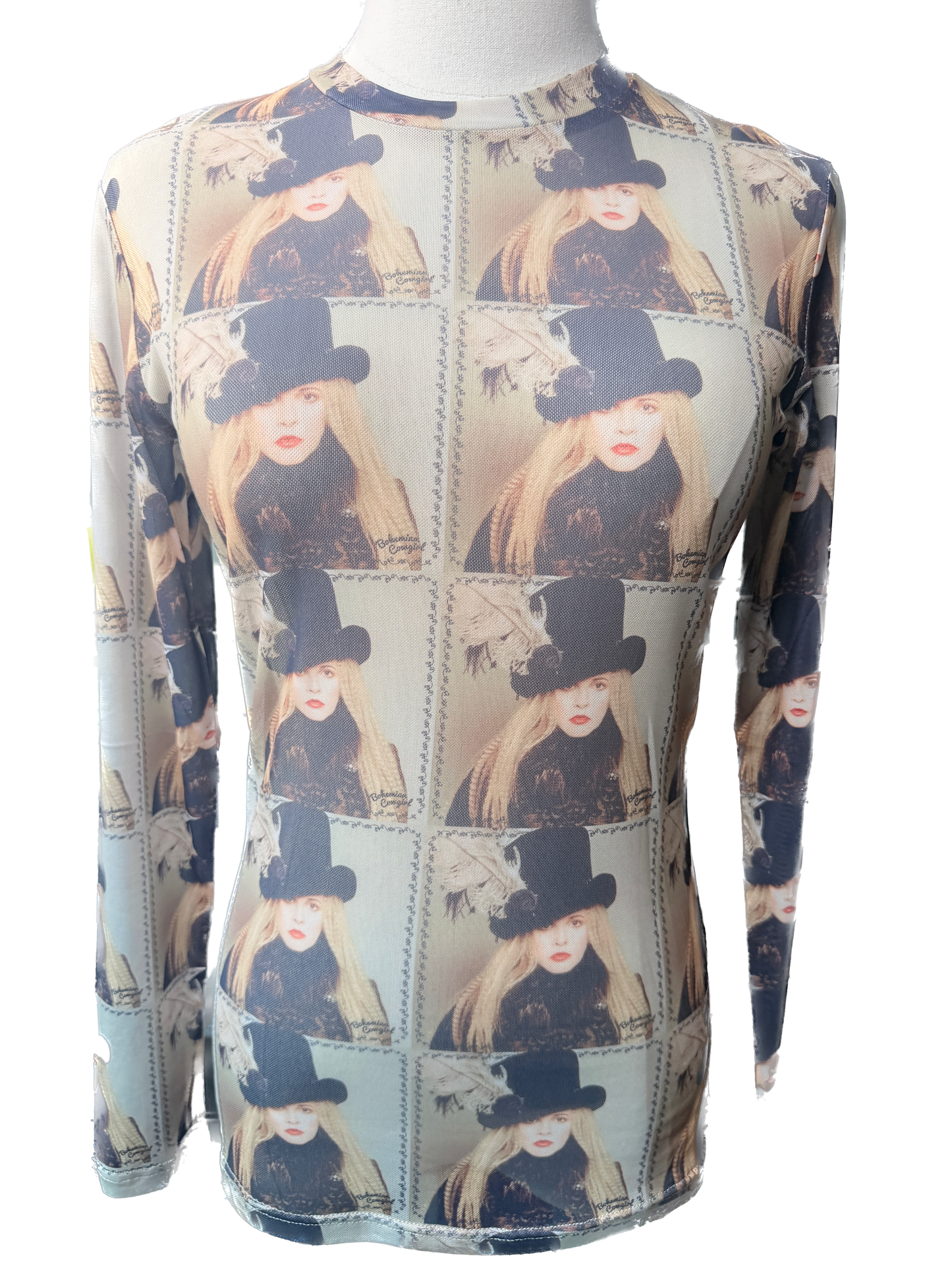 The Artist's Muse Mesh Top