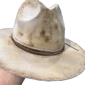 A Rare Bird Pop's Hat