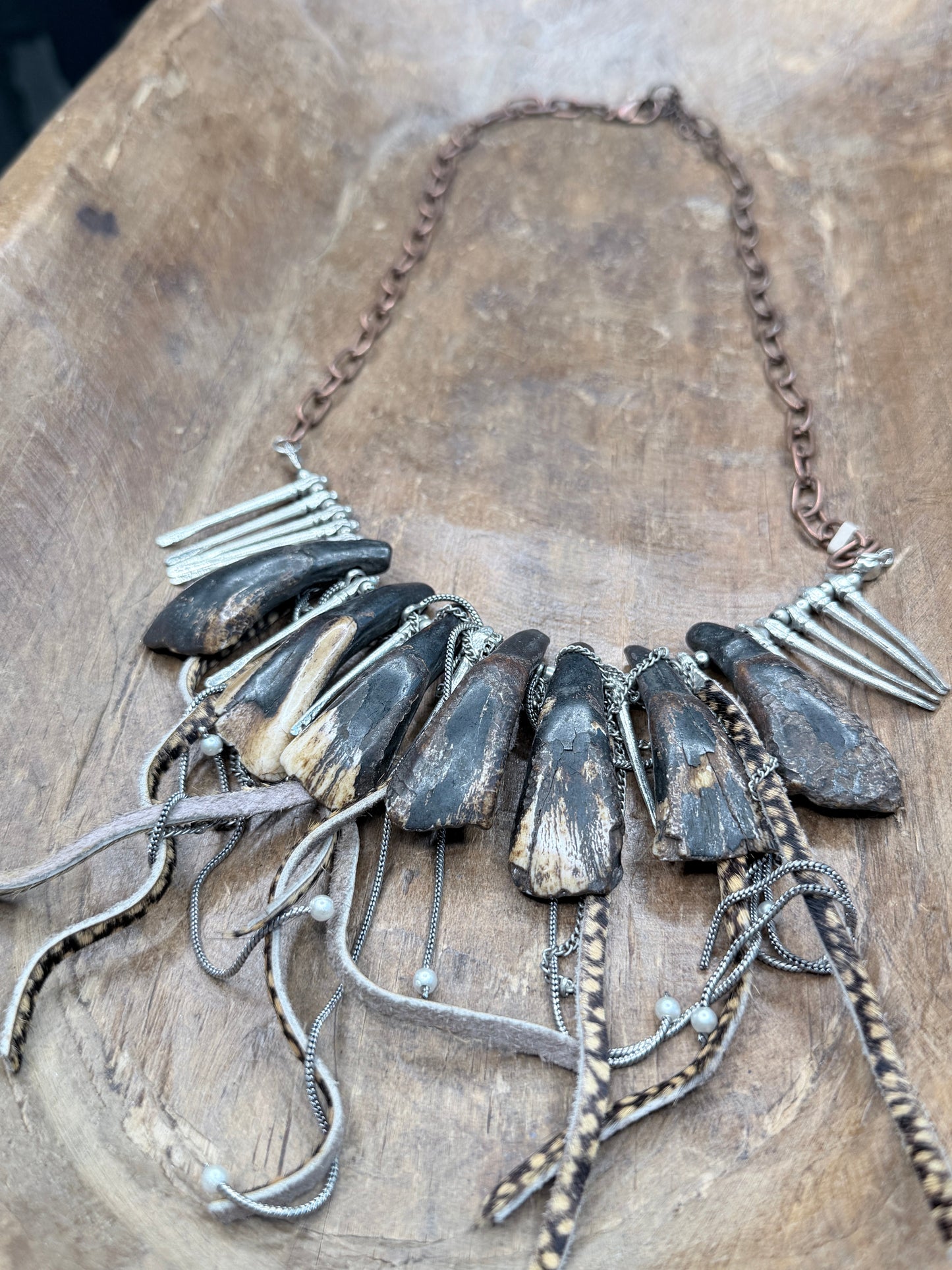A Rare Bird- Buffalo Tooth Charm Necklace